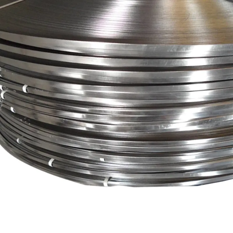 Stainless Steel Strip 6 Stainless steel strip(4)
